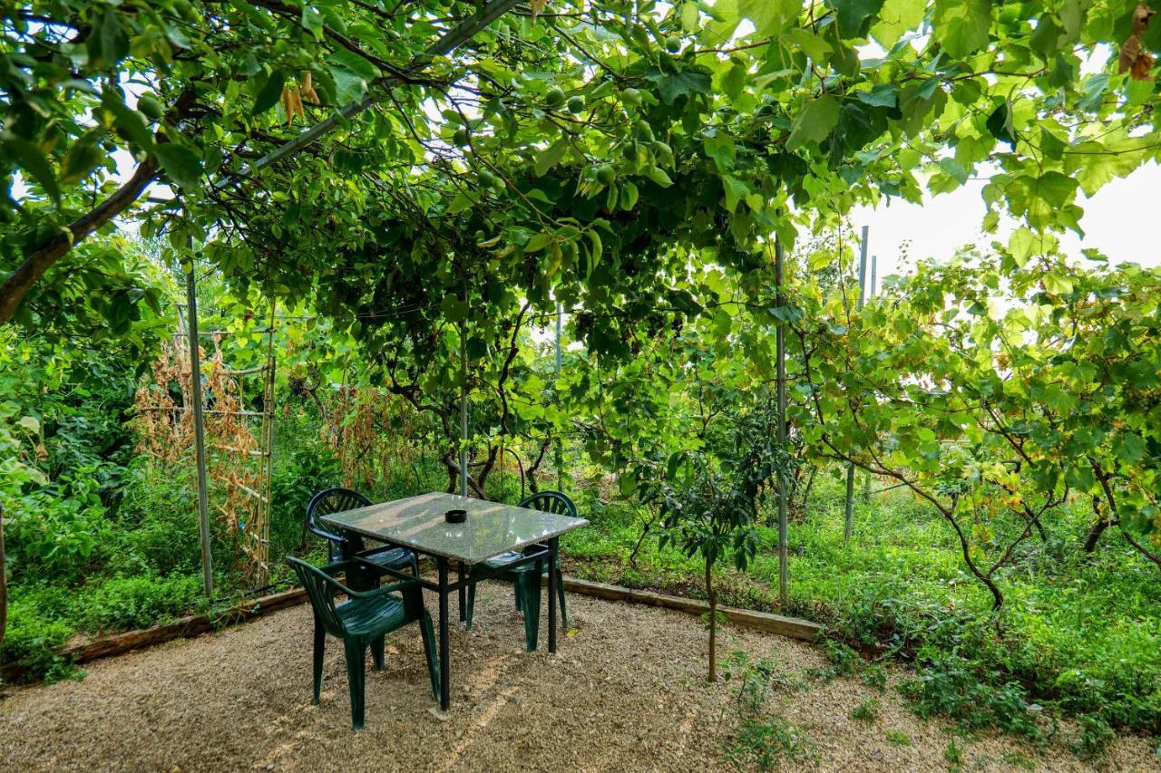 Villa Ani Borsh Exterior foto